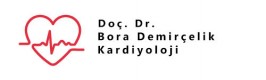 Doç. Dr. Bora Demirçelik-Resmi Web Sitesi